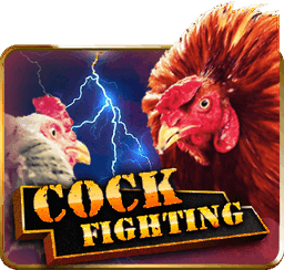 Cock Fight PHI