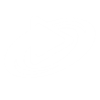 playtech